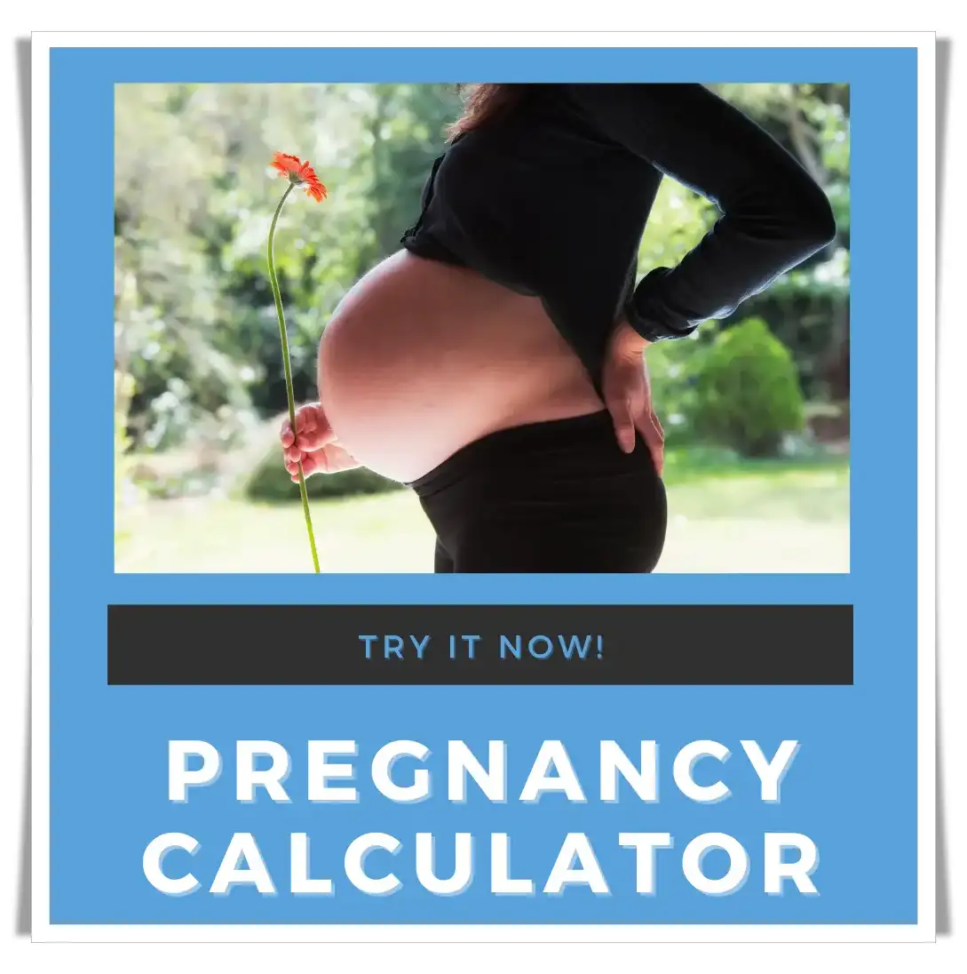 bc-educate pregnancy calculator