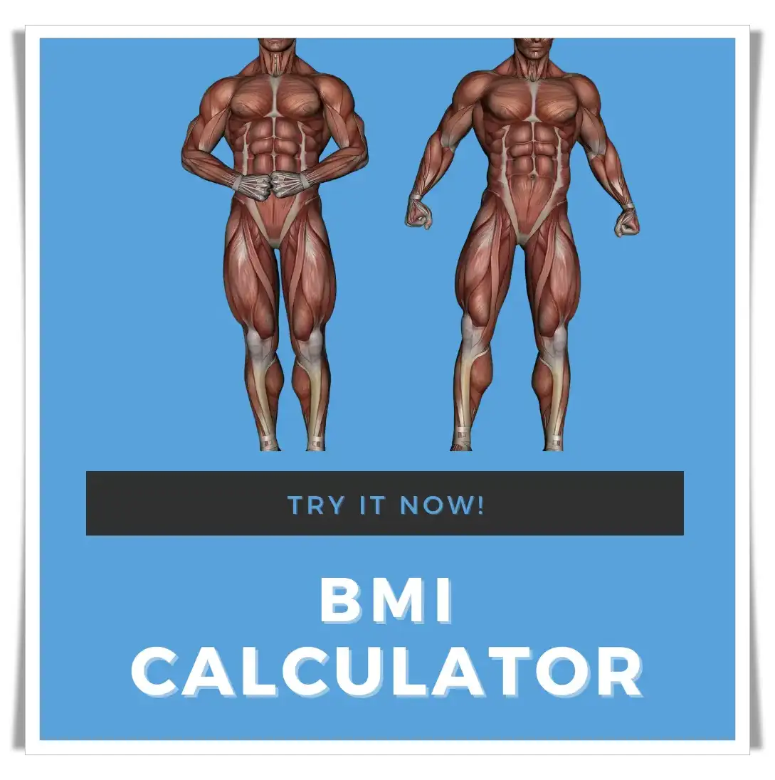 BMI Calculator bc-educate