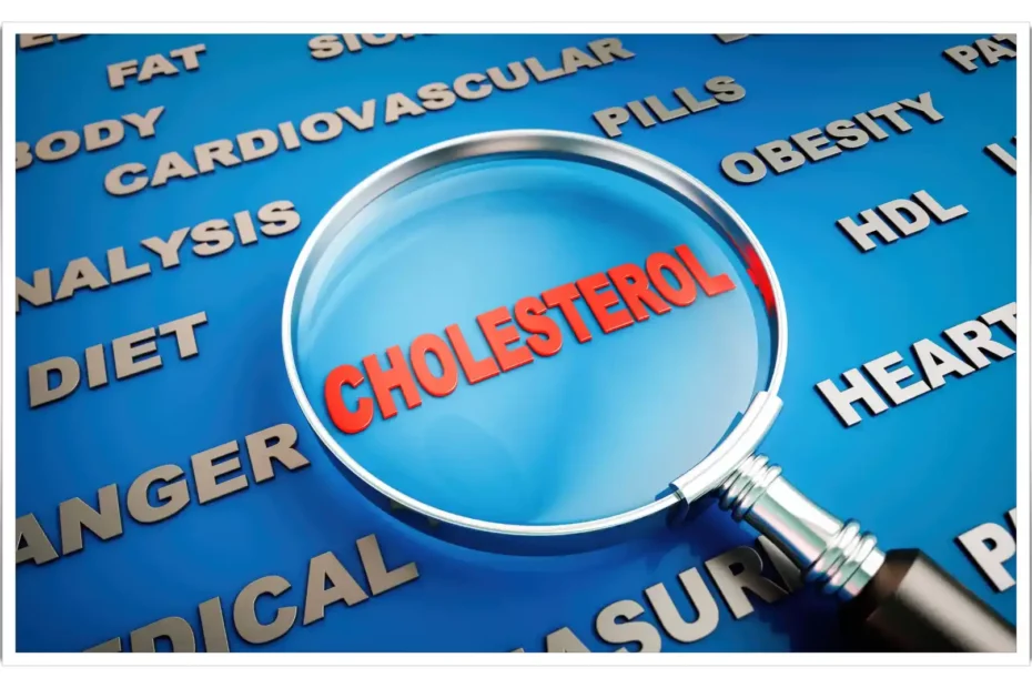 What Is Cholesterol? The Best Way To Control It!