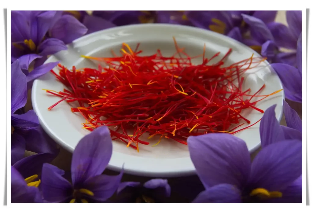 Other Benefits of Saffron bc-educate