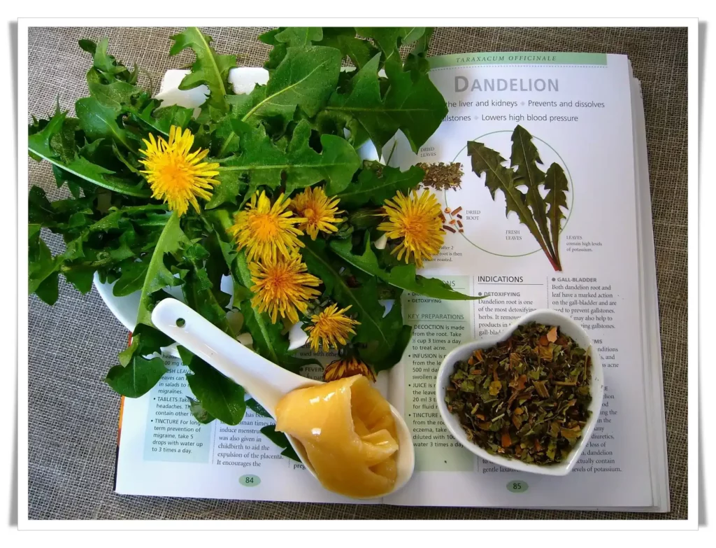 dandelion tea may have a blood sugar-lowering effect