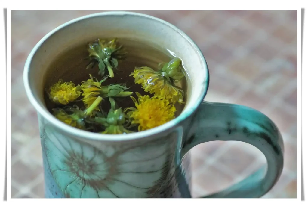 Dandelion tea properties