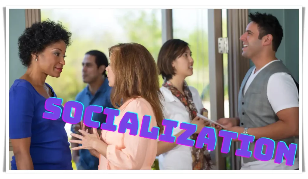 Socialization: Strong relationships are part of a healthy lifestyle