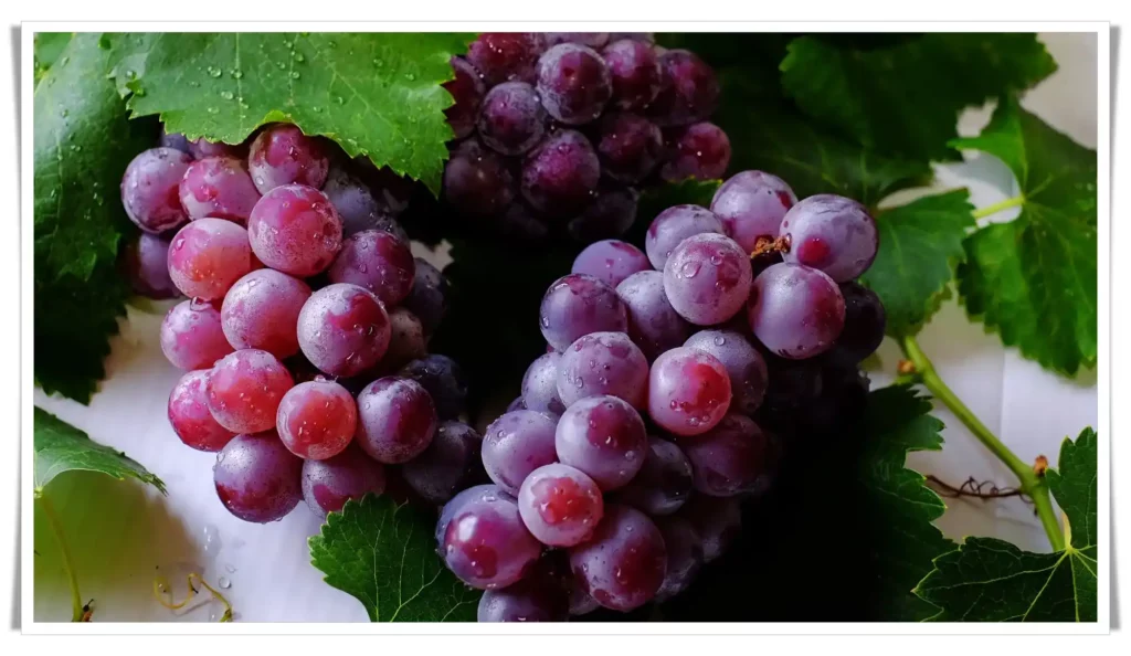 Foods That Must Be Organic! Grapes