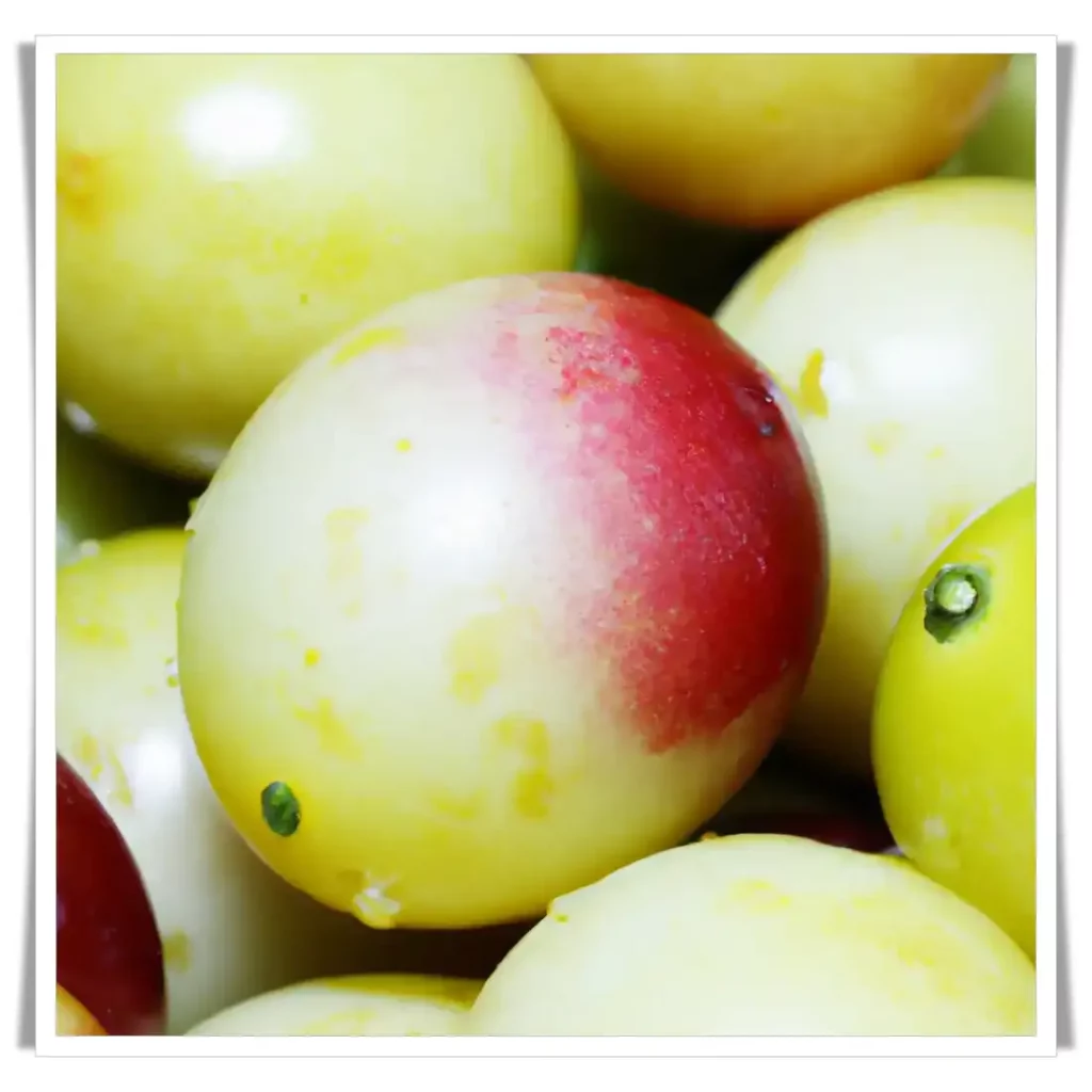 Kakadu plums can be eaten fresh