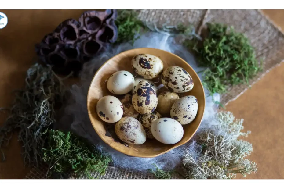 The Egg-ceptional Benefits of Quail Eggs: A Complete Nutrient Guide