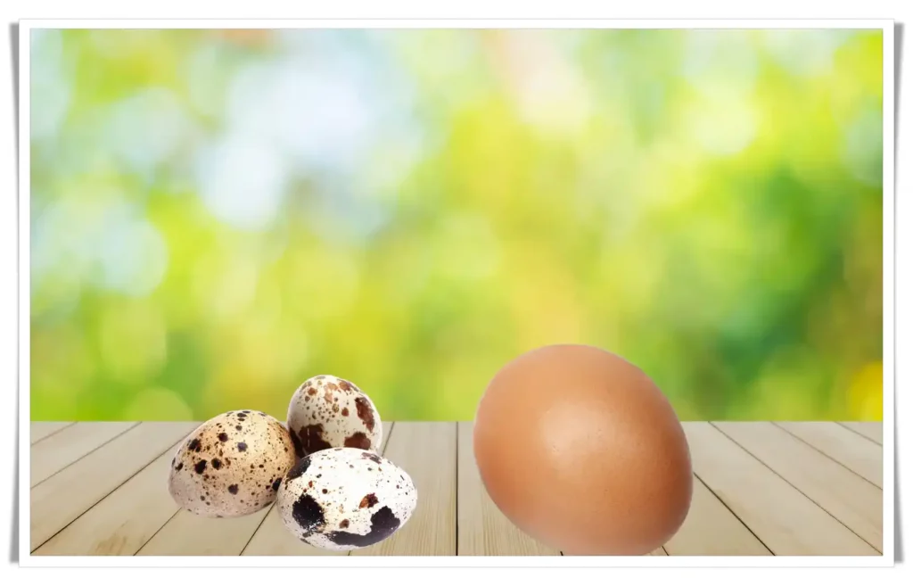 Quail Egg Cholesterol vs Chicken Egg