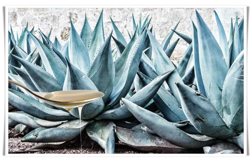 Agave nectar