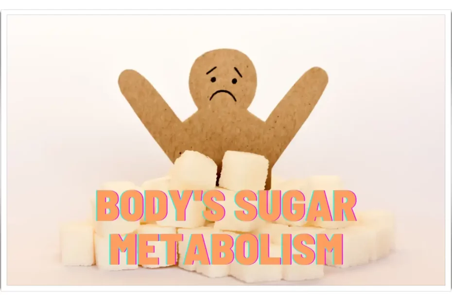 Body's Sugar Metabolism for Optimal Health