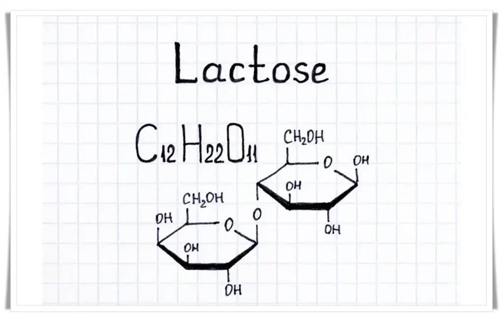 Lactose: Found in milk and dairy products