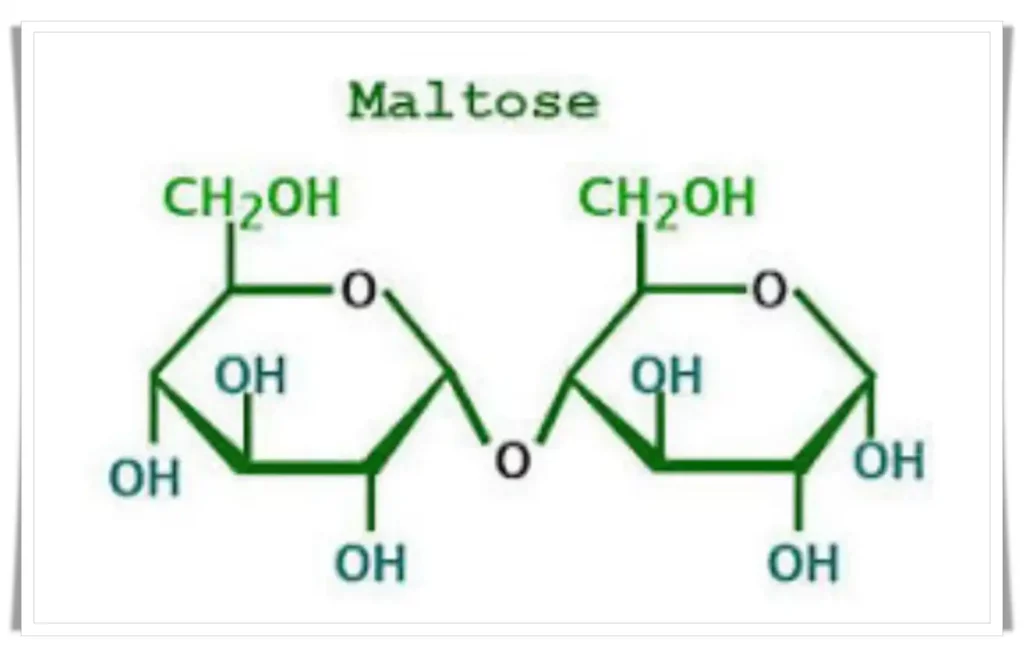 Maltose: Found in grains and cereals