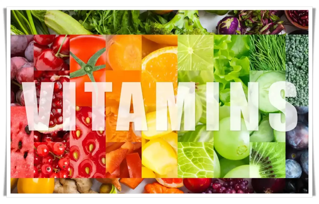 Why are Minerals and Vitamins Important for the Body?