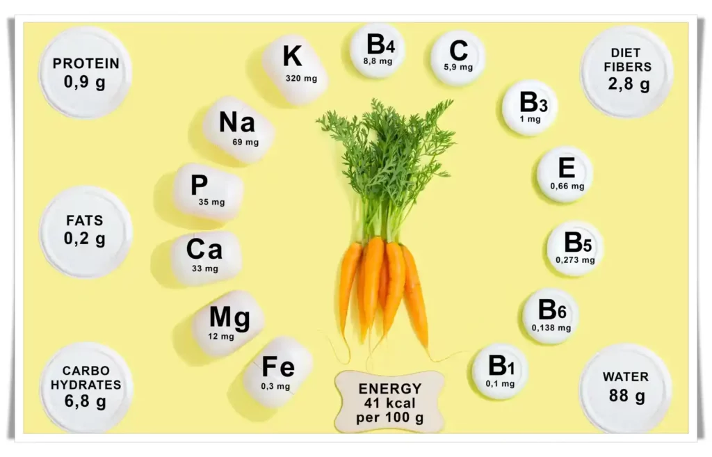 The Essential Role of Vitamins and Minerals for Health