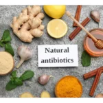 Synthetic Antibiotics or Natural Antibiotics? Choose Wisely!