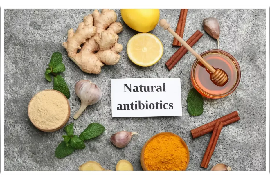 Synthetic Antibiotics or Natural Antibiotics? Choose Wisely!