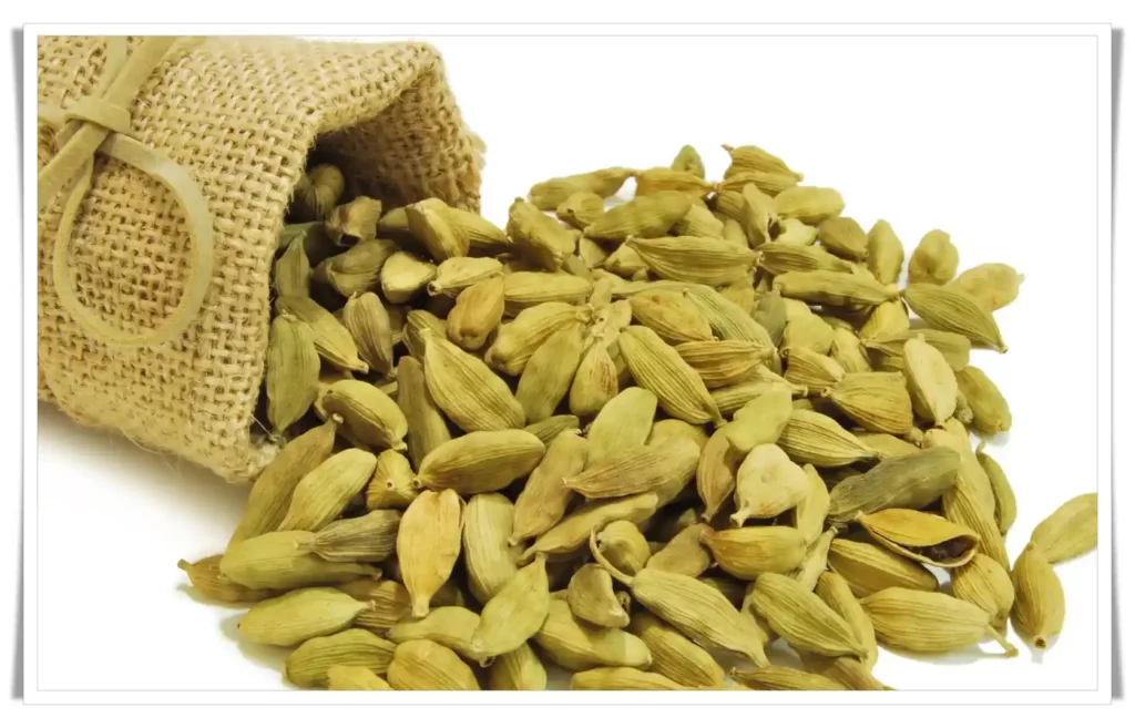 Cardamom - Ayurveda Remedies