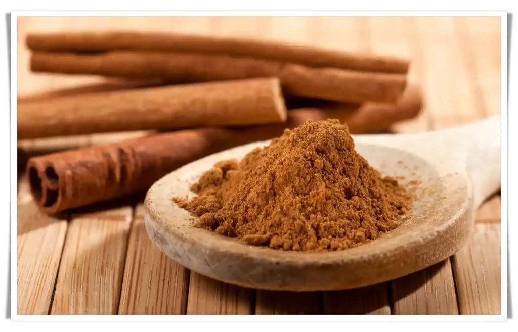 Cinnamon - Ayurveda Remedies