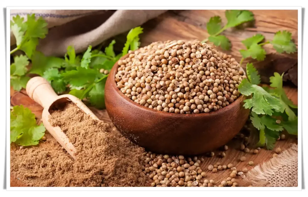 Coriander - Ayurveda Remedies