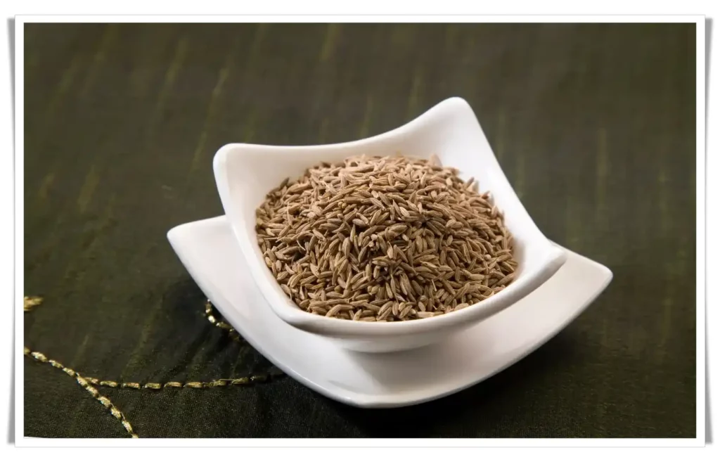 Cumin - Ayurveda Remedies