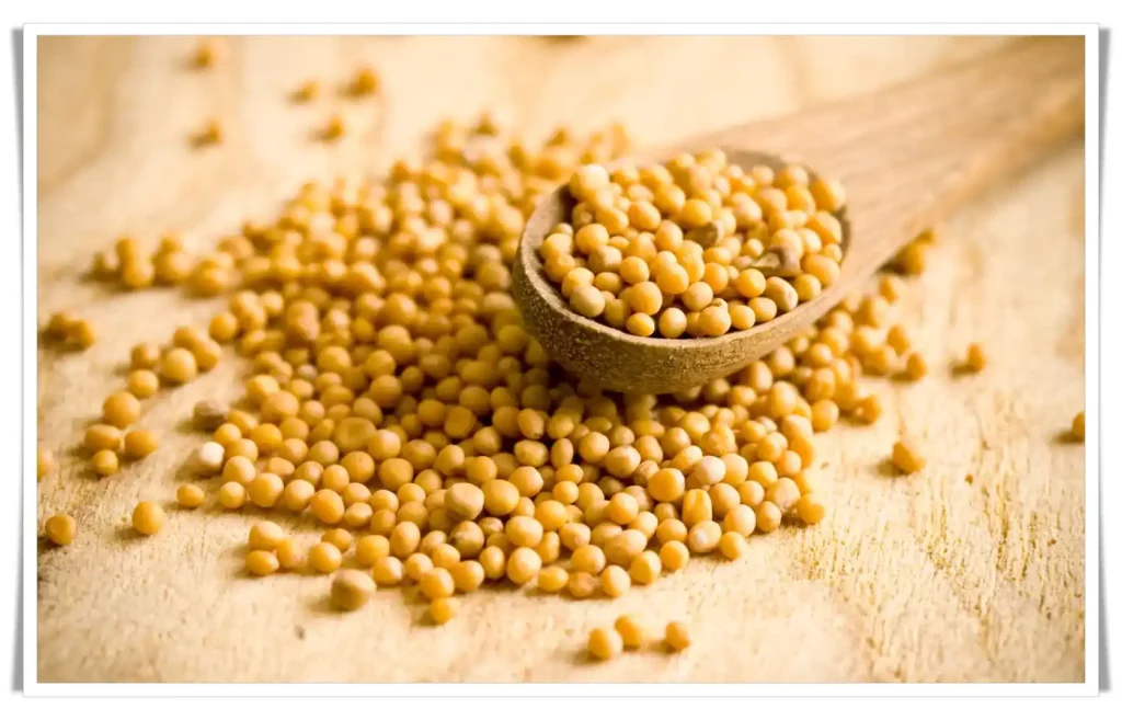 Mustard Seeds - Ayurveda Remedies