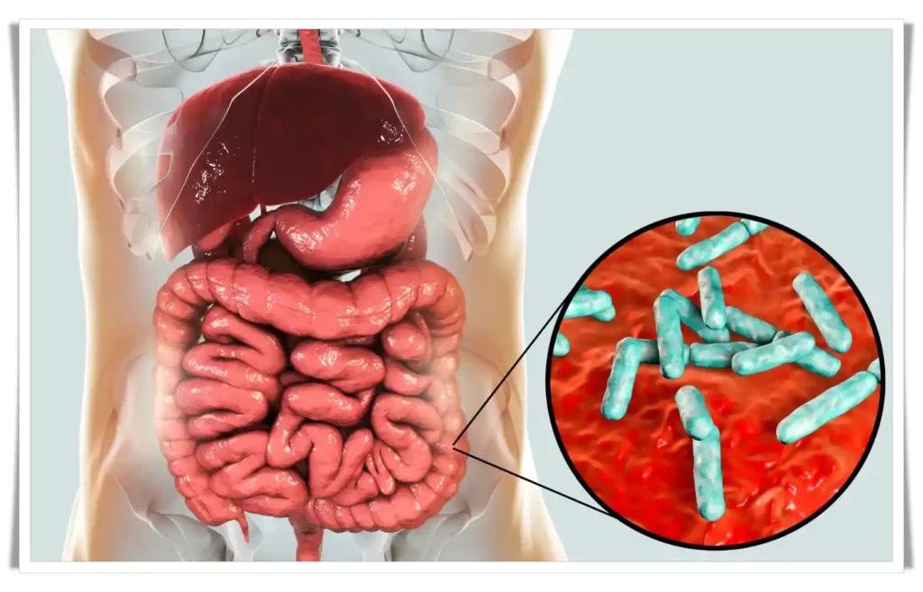 Gut Microbiome