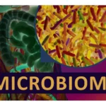 Unveiling the Intricacies of the Human Microbiome: A Comprehensive Guide