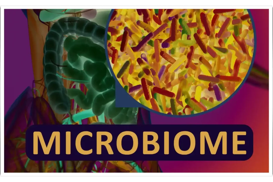 Unveiling the Intricacies of the Human Microbiome: A Comprehensive Guide