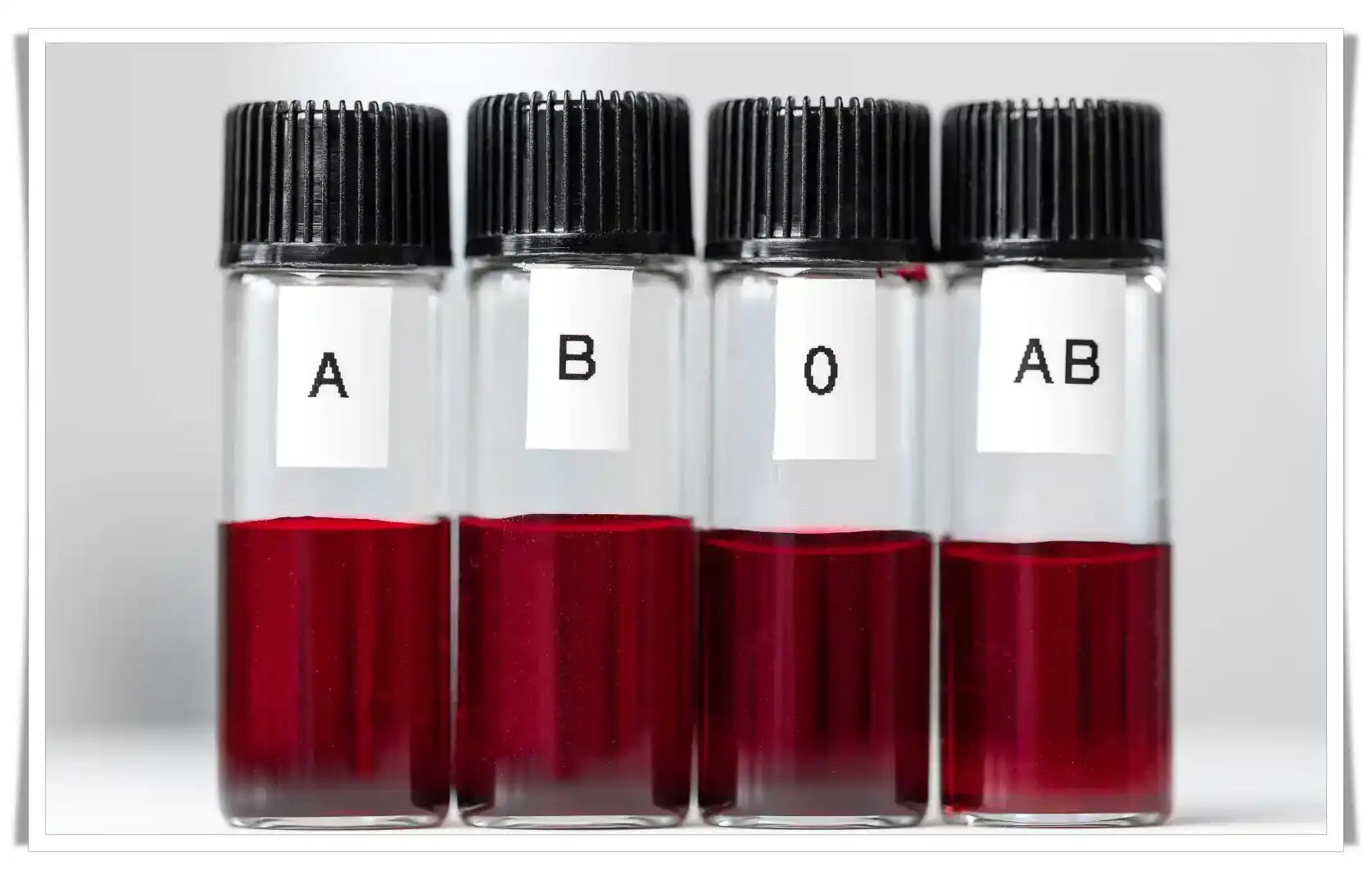 Blood Type Calculator Bc Educate   Batch Walking Test Calculator 3.webp