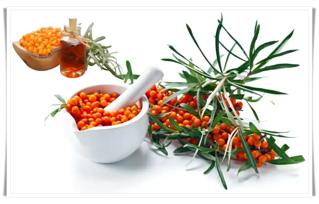 Storage and Preservation of Honey with Sea Buckthorn