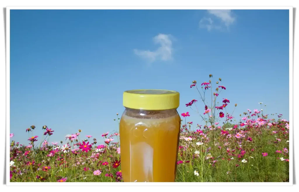 Polyflora Honey: A Comprehensive Guide to Its Benefits and Properties