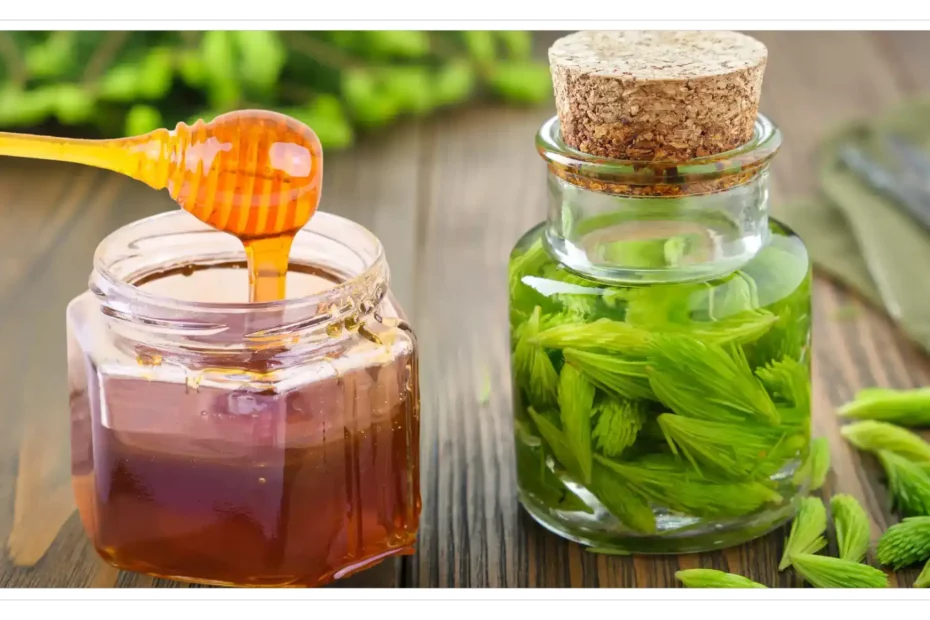 Honey With Fir Buds