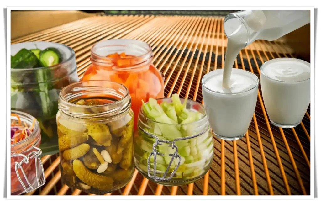 Give Up Weight Loss Diets to Lose Weight Healthily - Fermented Foods: Kefir, Yogurt, and Pickles