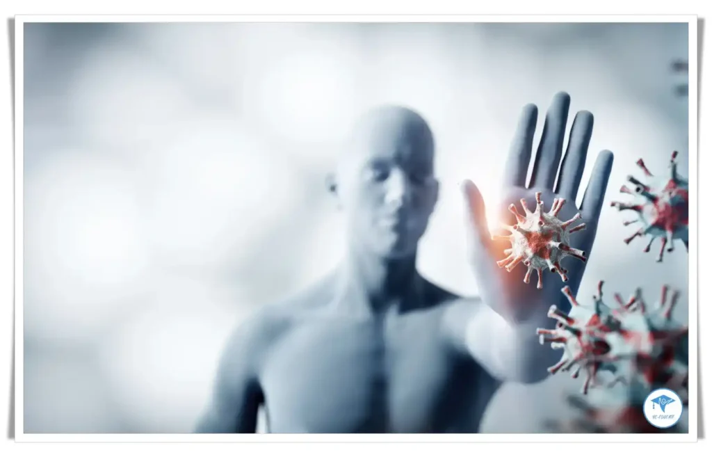 Why Magnesium Is Essential for the Body - Immune System Support