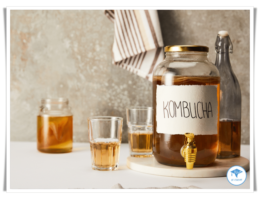 Kombucha – The Ancient Drink That Supports Your Microbiome + Homemade Recipe 1 Kombucha – The Ancient Drink