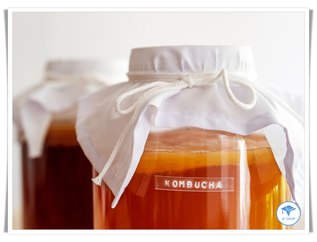 Kombucha – The Ancient Drink That Supports Your Microbiome + Homemade Recipe 4 Kombucha – Homemade Recipe